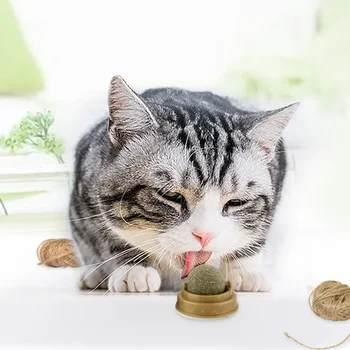 Natural Catnip Ball Cat Toy 4