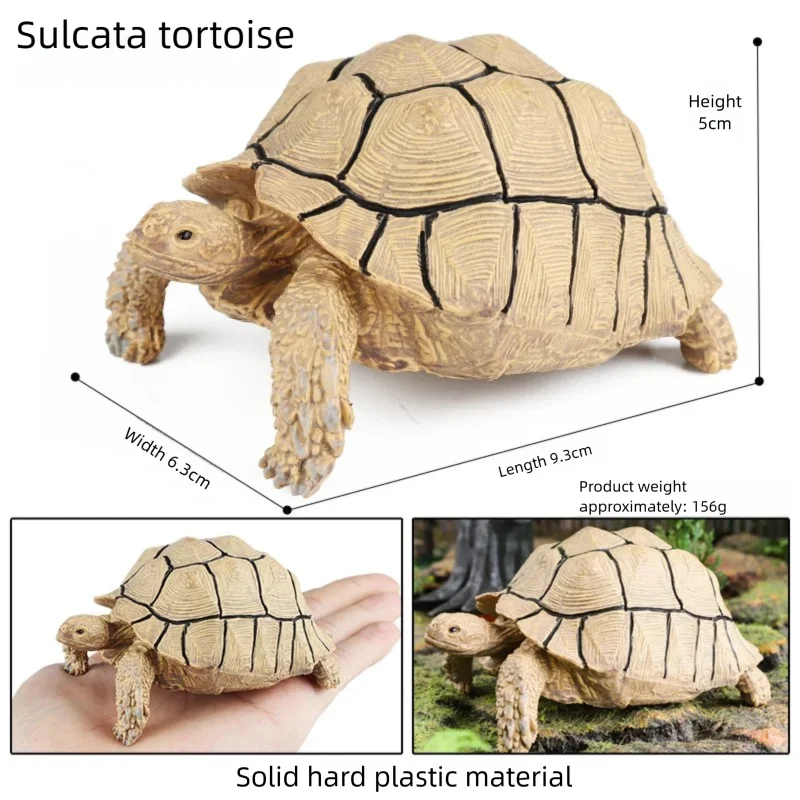 Oenux Simulations-Schildkröten-Set: Alligator, Galapagos-Schildkröte, Chinesische Weichschildkröte Figuren und Puppen – Detail 1