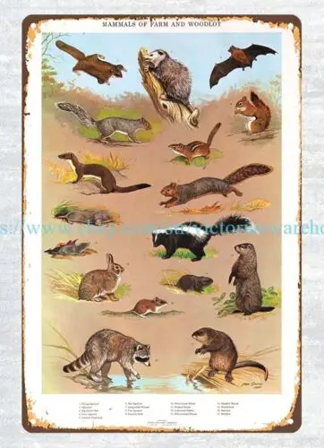 1960s Pennsylvania Game Commision Wildlife Poster metal tin sign Mammals of Farm