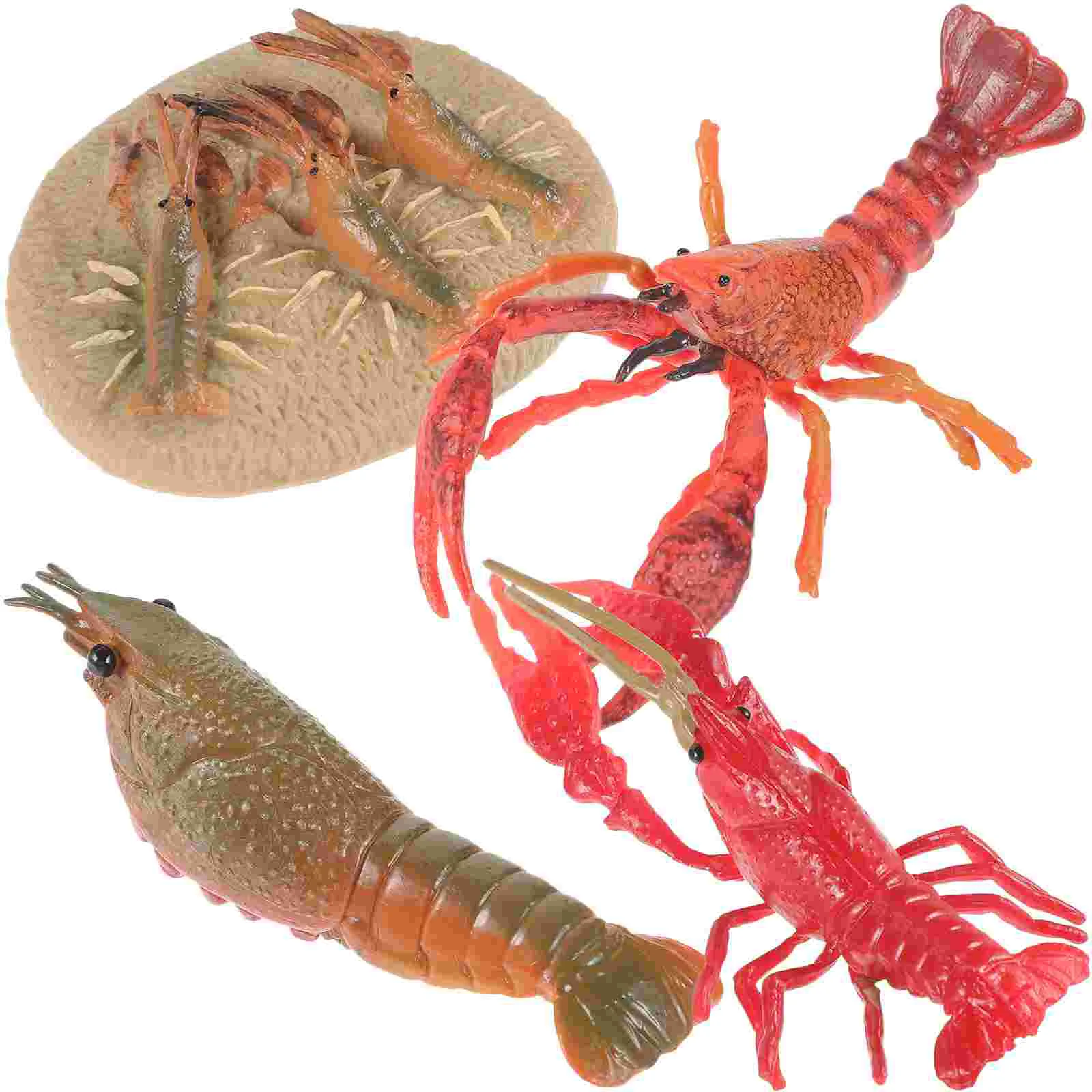 

Animal Model Lobster Growing Cycle Models Sea Toys Simulation Teaching Props Kids Cognitive Funny Life