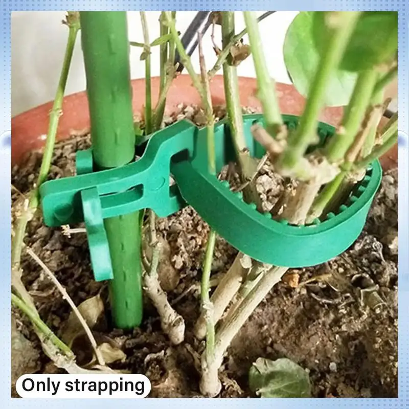 AD-24Pcs Stump Support Straps, Garden Stake Connectors, Tree Straps For Stakes, Tree Support Straps For Stumps