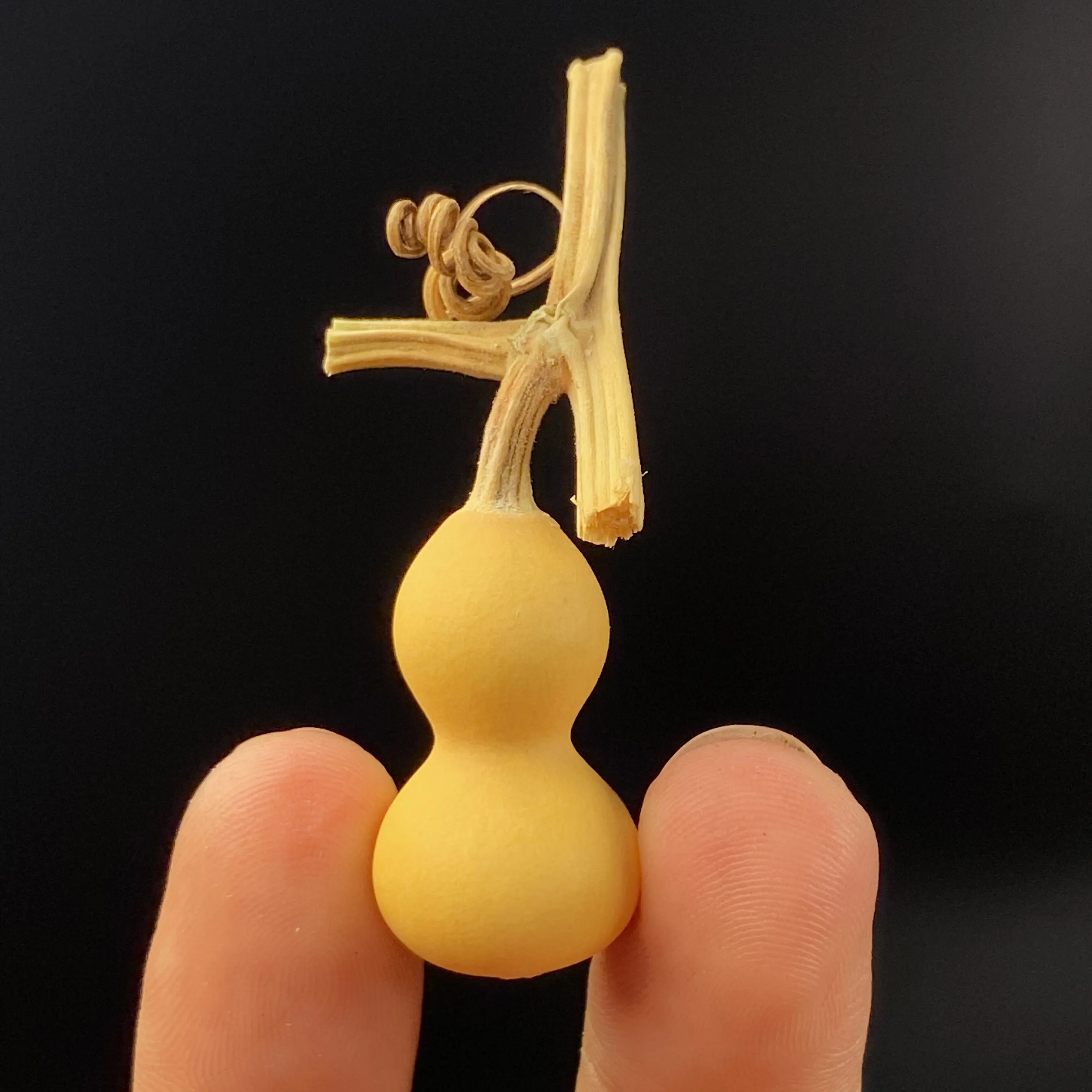 Mini Zucca Naturale a Forma di - Vintage Collectible Christmas Ornaments recensione e prezzo