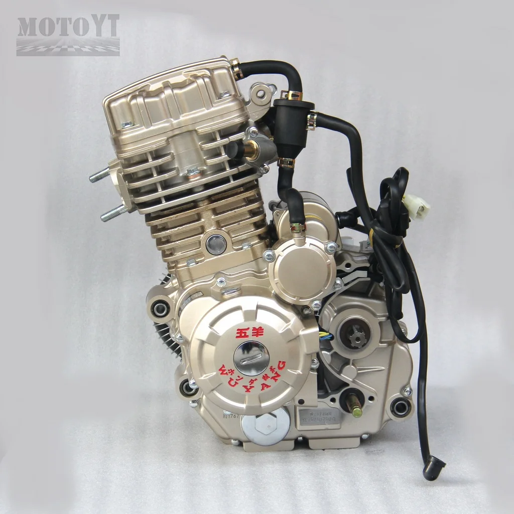 300CC Engine with Complete Accessory Kit, Universal Power Assembly for Motorcycles, ATV and Go Carts