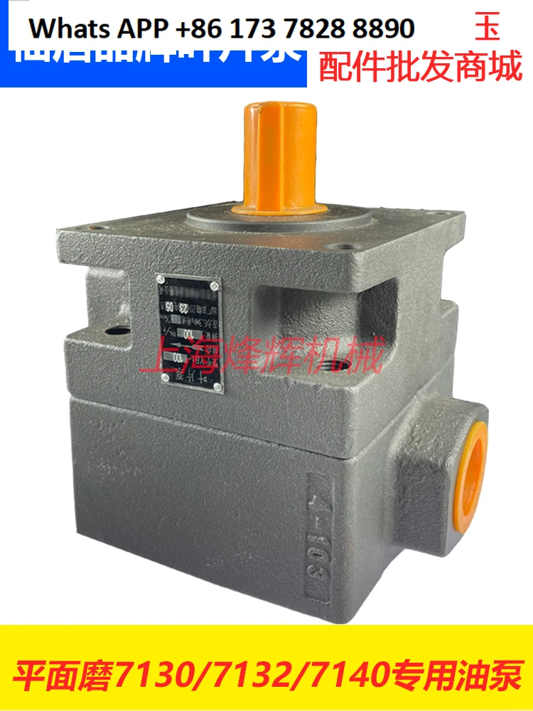 

YB1-100 Vane Pump Surface Grinder Oil Pump Xianju Hydraulic Parts Company