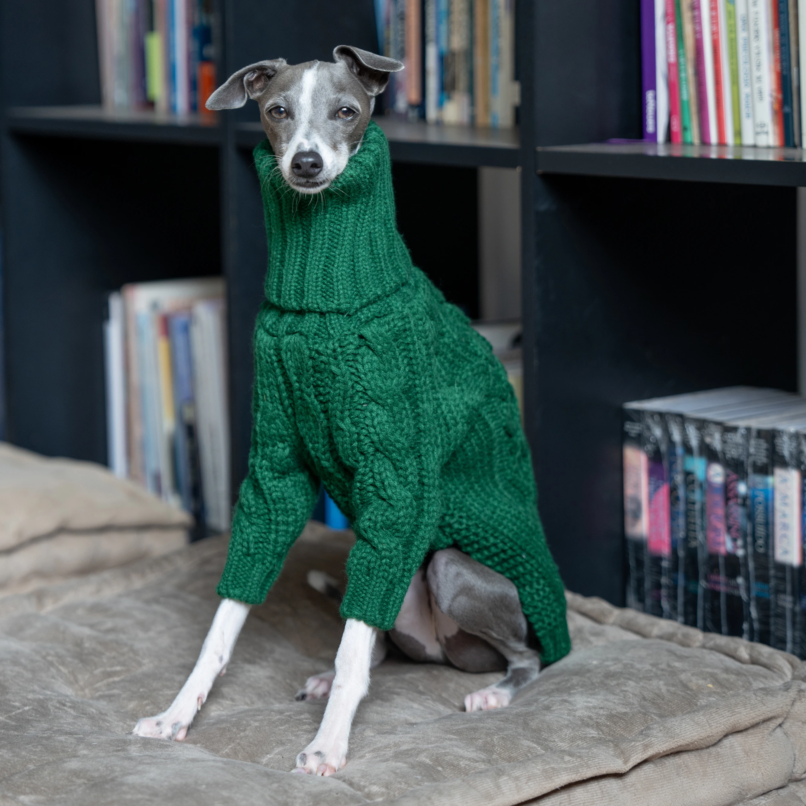 Green turtleneck thickened pet sweater Italian greyhound whippet two-legged knitted dog clothes