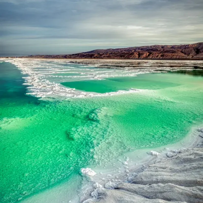 

Foxeer Wildfire 5.8GHz 72CH Dual Receiver Support OSD Firmware Update for Fatshark FPV Goggles