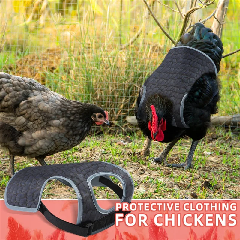 Chicken Saddles For…