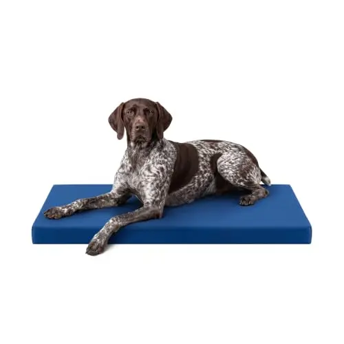 Tough Ripstop Orthopedic Crate Bed, 41 x 27, Blue Quartz | Durable Kennel Pad with Washable Cover for Large Dogs, Fits