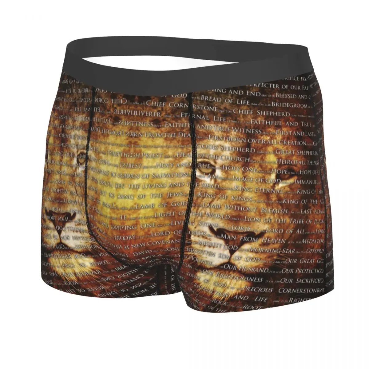 Custom Male Cool The Names Of God Jesus Lion Men Underwear Christian Catholic Boxer Briefs Stretch Shorts Panties Underpants