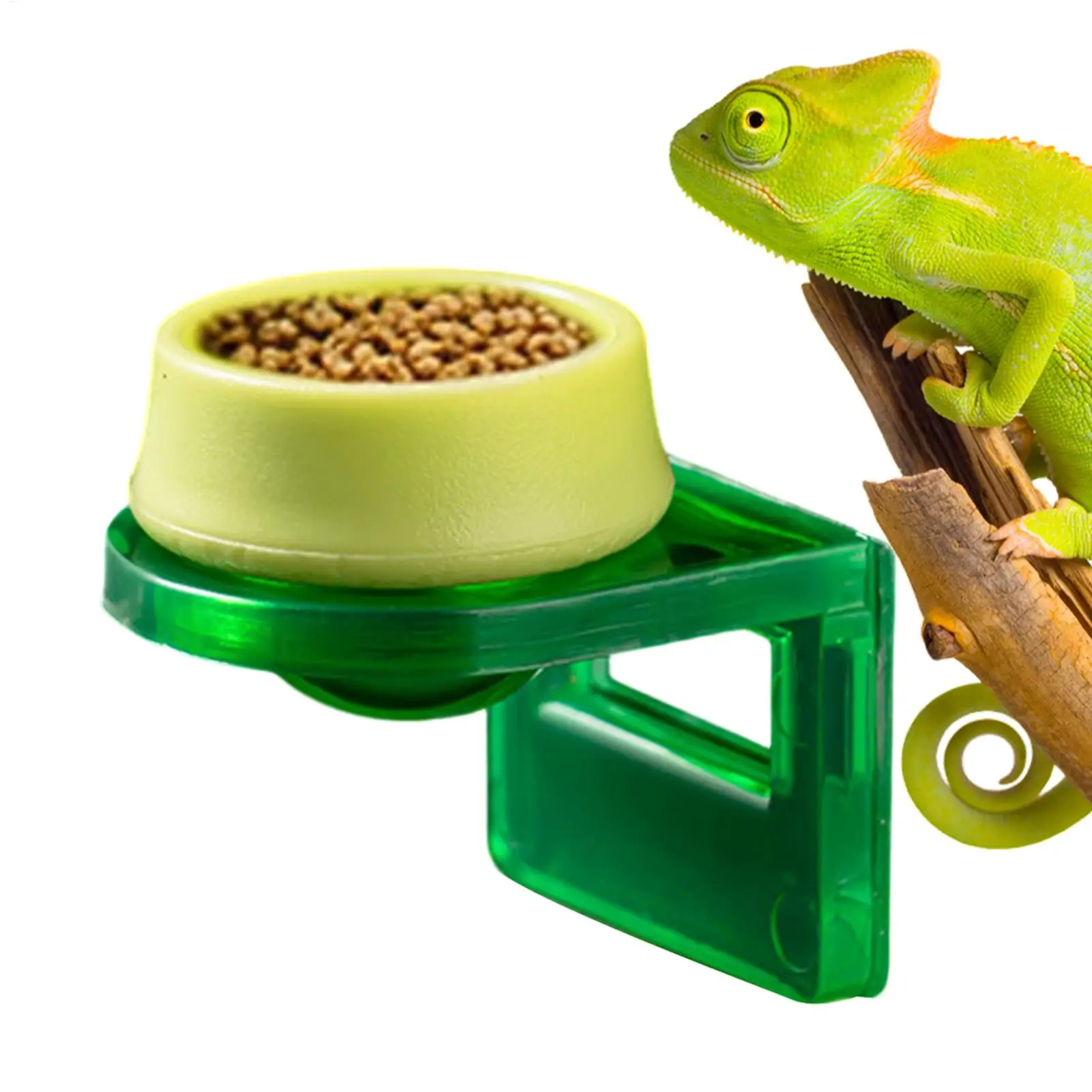 Adhesive Backing Reptile Feeding Dish Multi-Purpose Terrariu