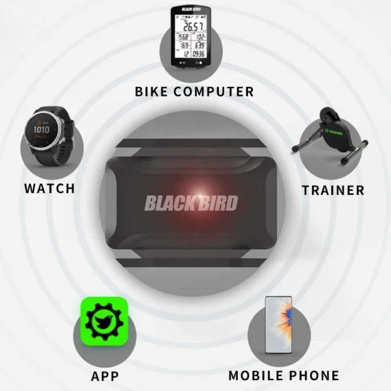 Black Bird Heart Rate Cadence Sensor Speed Speedometer ANT+ Bluetooth 5.0 Compatible with Garmin IGP Bryton Bike Computer