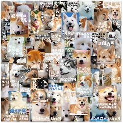 120pcs Husky Corgi Shiba Inu Cute Cartoon Graffiti Stickers Decorated Notebook Water Cup Diary Classic Toy Waterproof PVC Decal