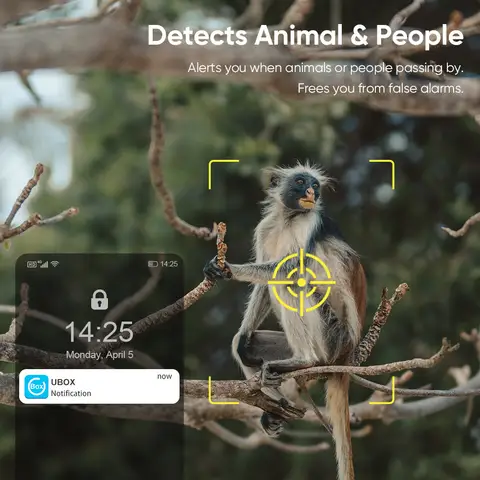 10 best sales वाईफ़ाई कैमरा आउटडोर सौर - №10