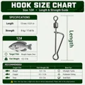 Size 12