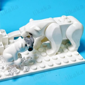 11 Hauptverkaufs -Aquario -Blöcke - №6