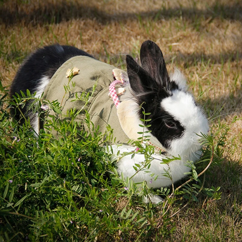 Mini Pet Spring&Summer Outing Cotton Suit Light-colored Little Clothes for Bunny Guinea-pig Walking Drop shipping