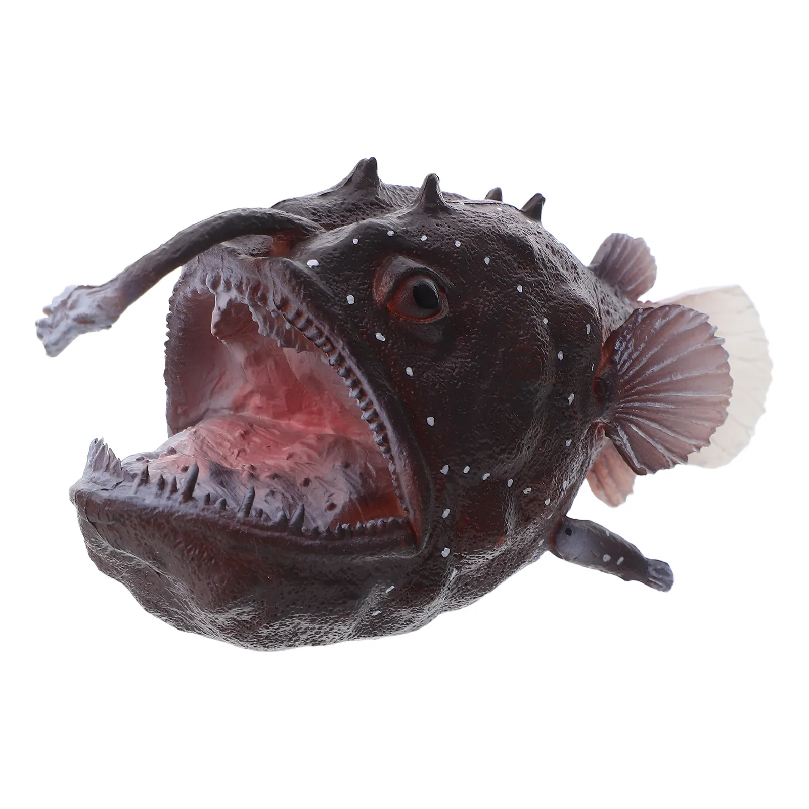 

Realistic Marine Fish Imitation Ocean Animal Decoration Kids Educational Deep Sea Creature Classroom Learning Sensory Play
