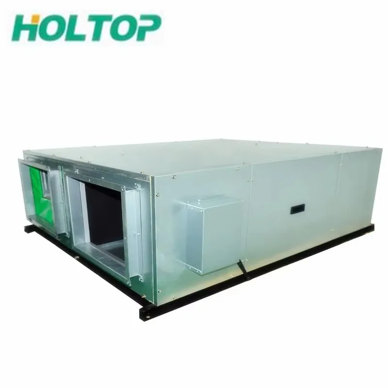 Chinese Famous Brand 6000CMH Airflow Energy Recovery Ventilation System For Office Buildings