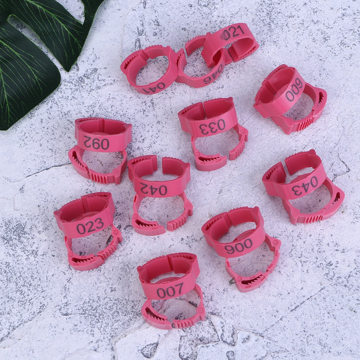 

100pcs Chicken Foot Rings Bright Colors Eco Friendly Material Identification Ankle Bands for Pigeons Cockatiels Parakeets