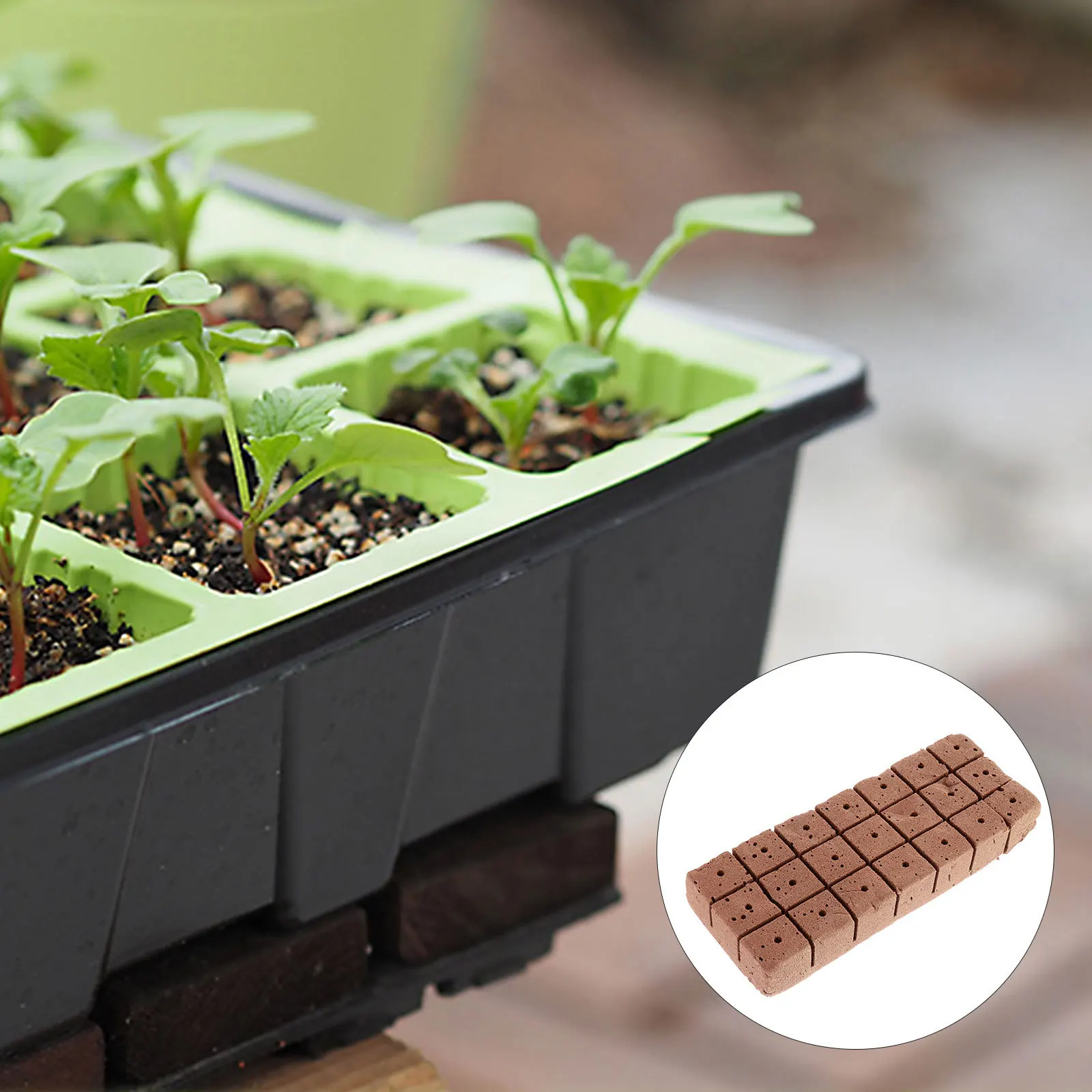 

20Pcs Nursery Block Soilless Cultivation Seedlings Matrix Block Nutrient Soil for Plant Growth Easy Planting Professional