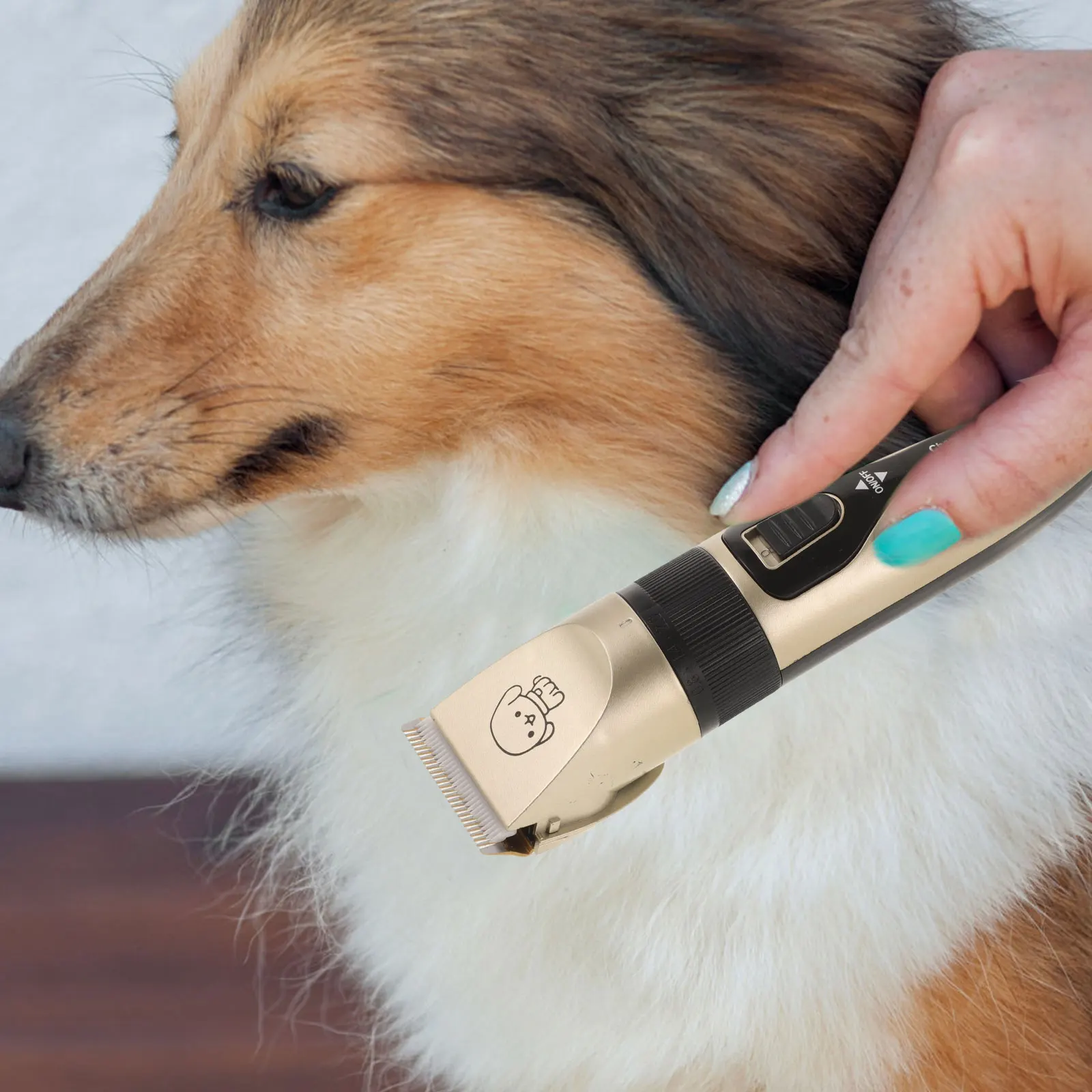 

Dog Hair Trimmer Pet Clipper Low Vibration Quiet Design Titanium Ceramic Blade Electric Grooming Tool For Cats Dogs Colorful