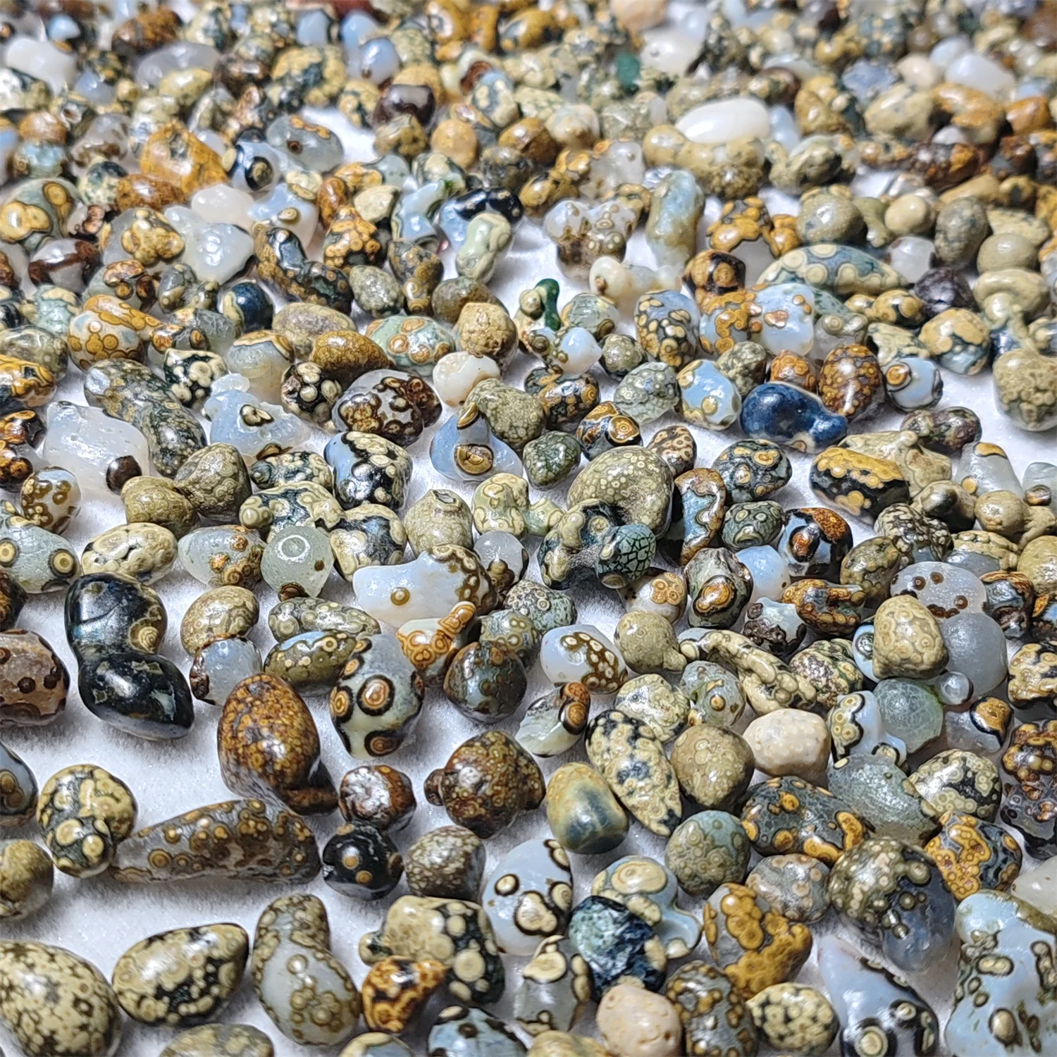 780pcs/lot Natural Gobi Agate Rough The world's strongest power stone rare special Jadeization White background Eye stones