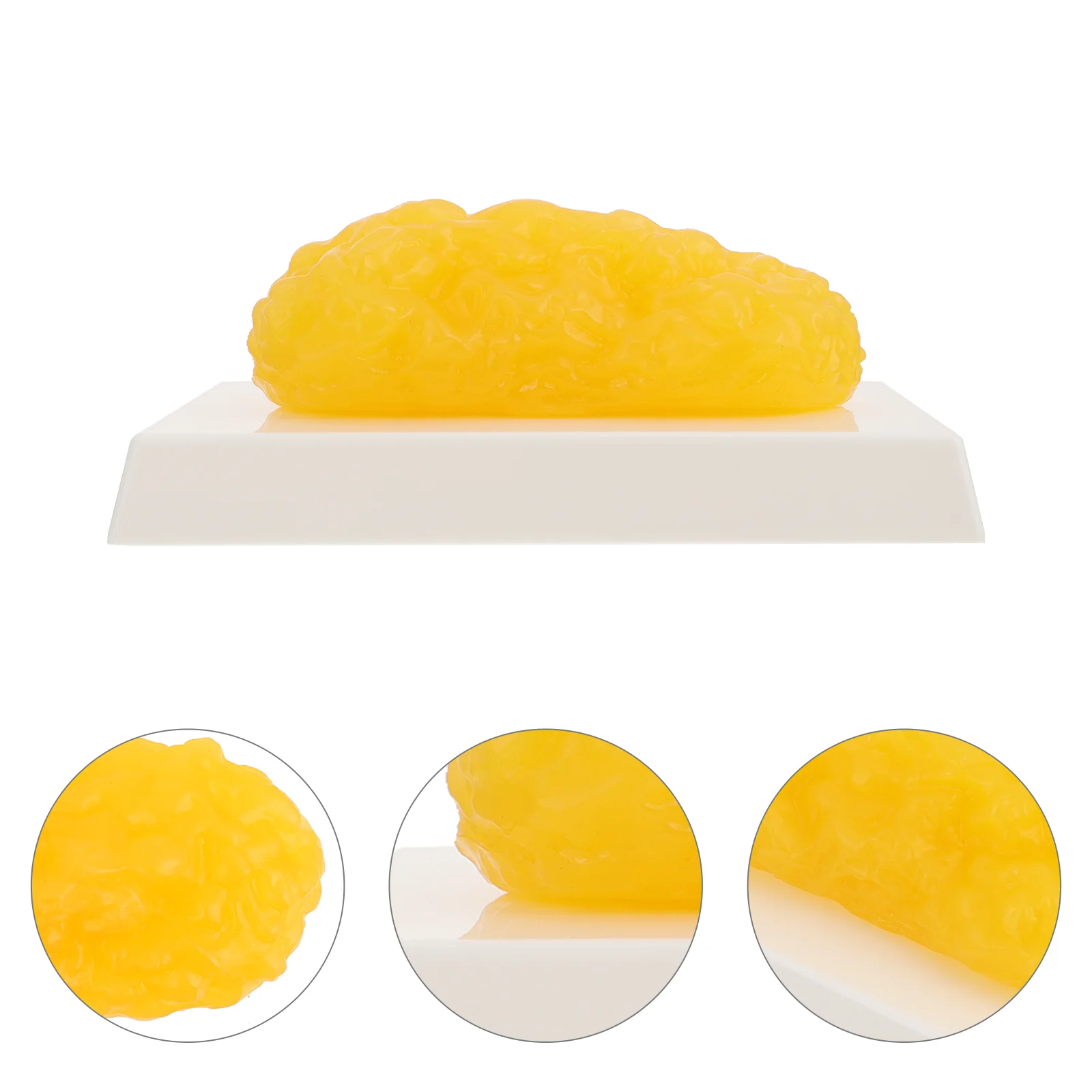 

Fat Model Plastic Demonstration Device Wallet 1 Pound Yellow Anatomical Student