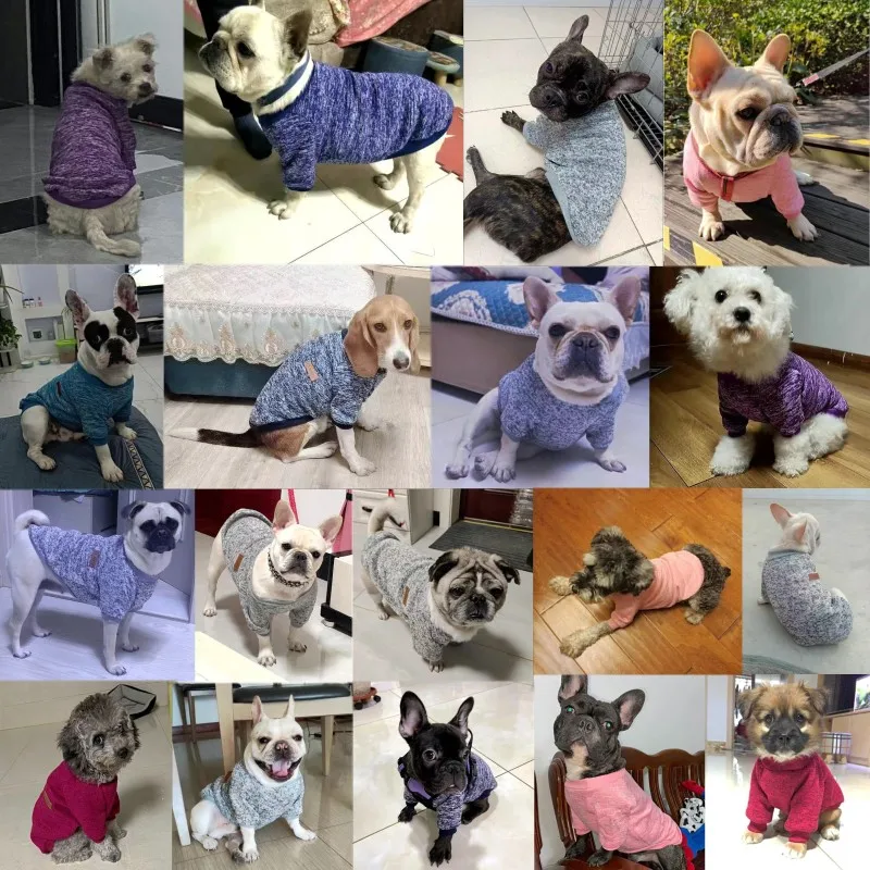 Autumn Dog Clothes Fashion Solid Dog Hoodies Simple Puppy Sweatshirt Soft Warm Cat Pullovers Pet Hoodies Chihuahua Dog Costumes