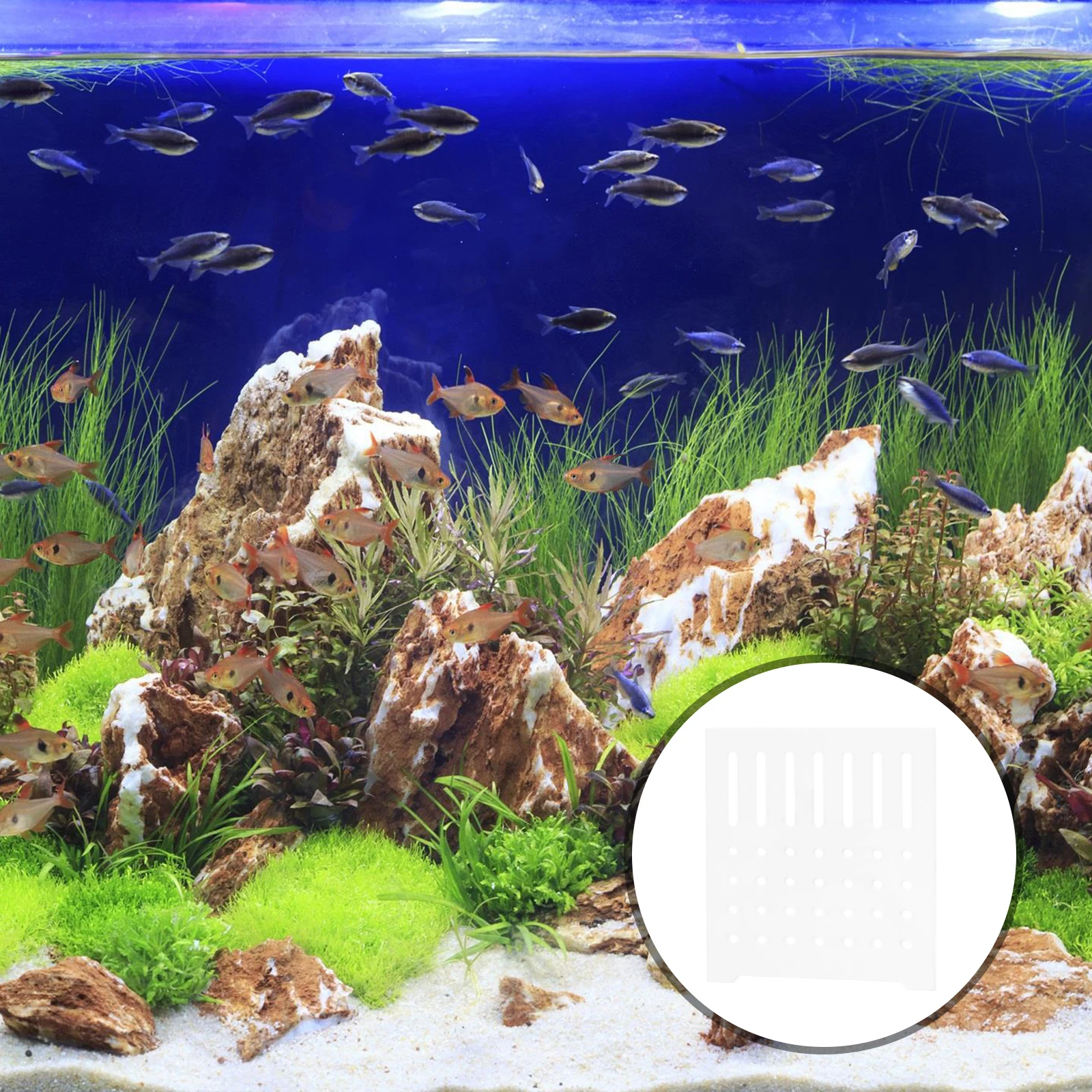 

Aquarium Divider Panel Acrylic Separation Plate Fish Tank Isolation Board Isolator
