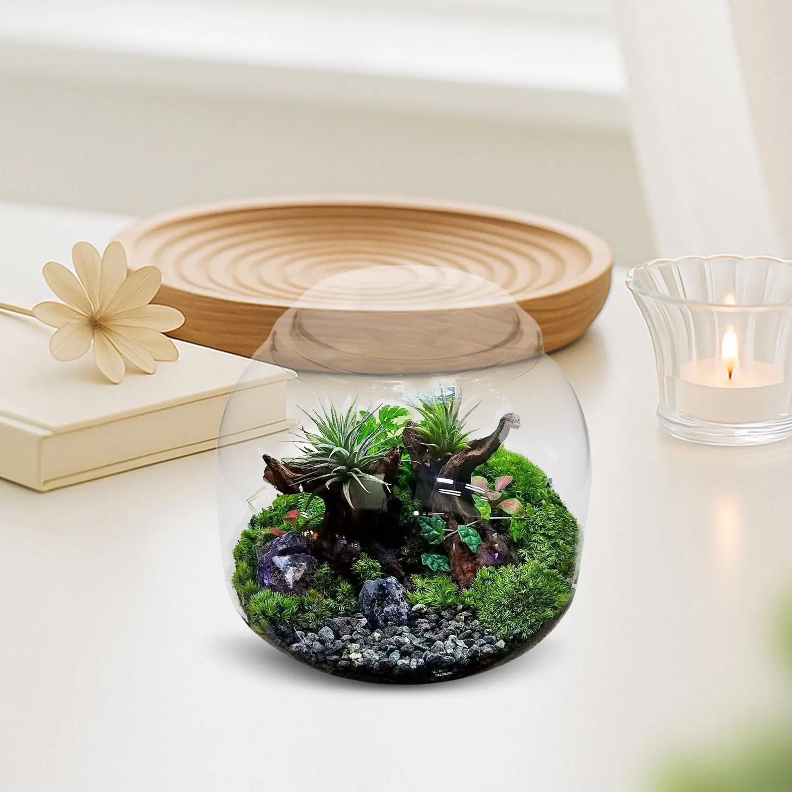 Glass Terrarium Jar with Lid Transparent Micro Landscape Bottle Succulent Moss Terrarium Planter Indoor Hydroponic Plant