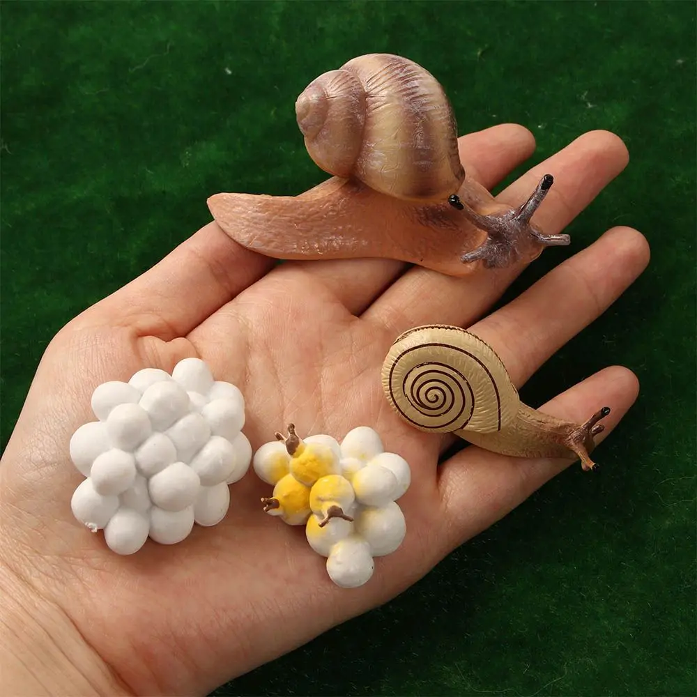 Ciência realista Shopper Brinquedos para Crianças, Praying Mantis Toy, Caracol Crescimento Ciclo Figuras Ciclo de Vida, Ciclo Mantis estatueta