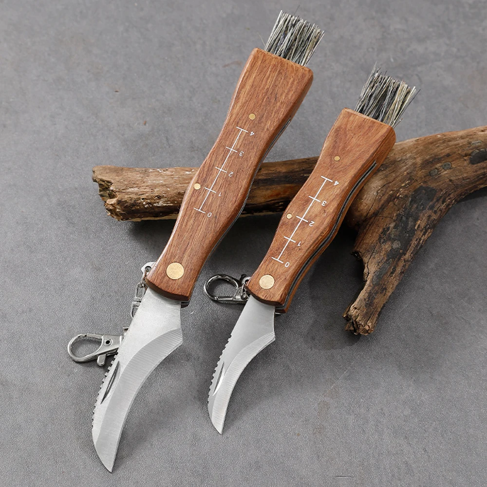 Mushroom Folding Knife with Brush Steel Curve Blade Mushroom Foraging Knife Foraging  Fruit Picking Knife Wood Handle