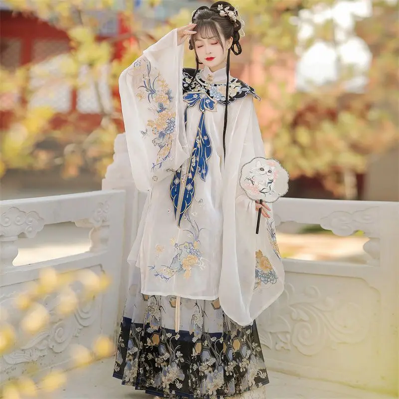 

Chinese Ming Dynasty Women Standing Collar Long Sleeve Coat Pleated Loose Skirt Embroidery Cloud Shoulder Hanfu Set