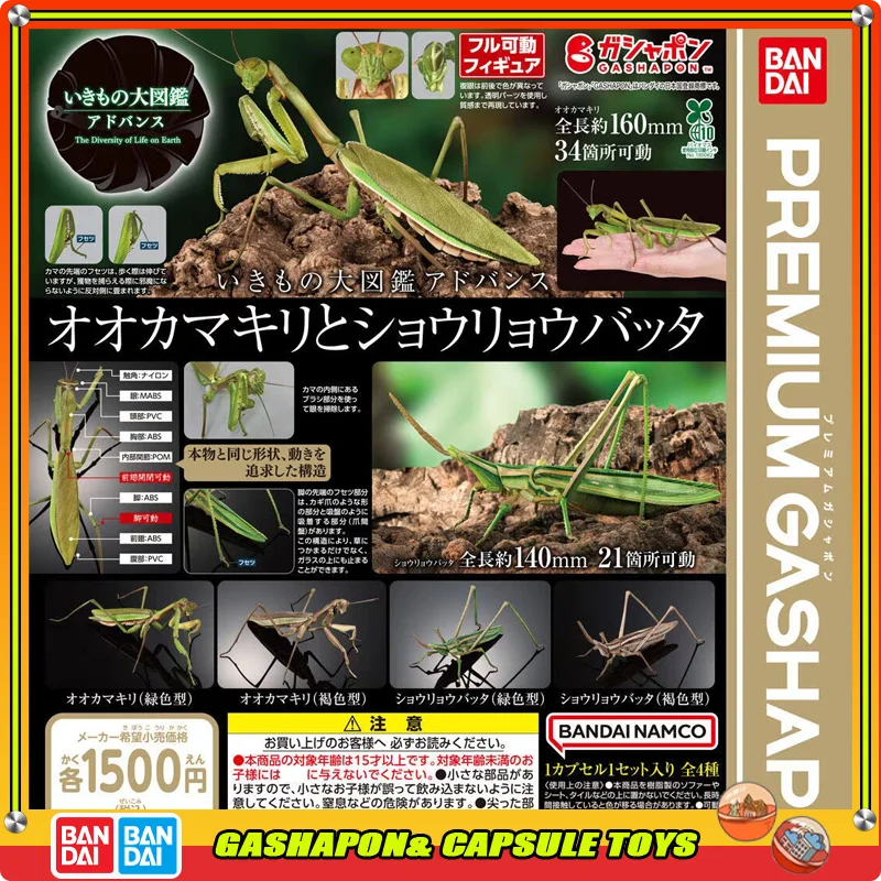 

Bandai Biological Encyclopedia Action Figures Model Official Genuine Mantis Sword Horn Locust Gashapon Genuine Capsule Toys