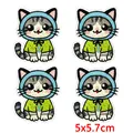 PE17773CT