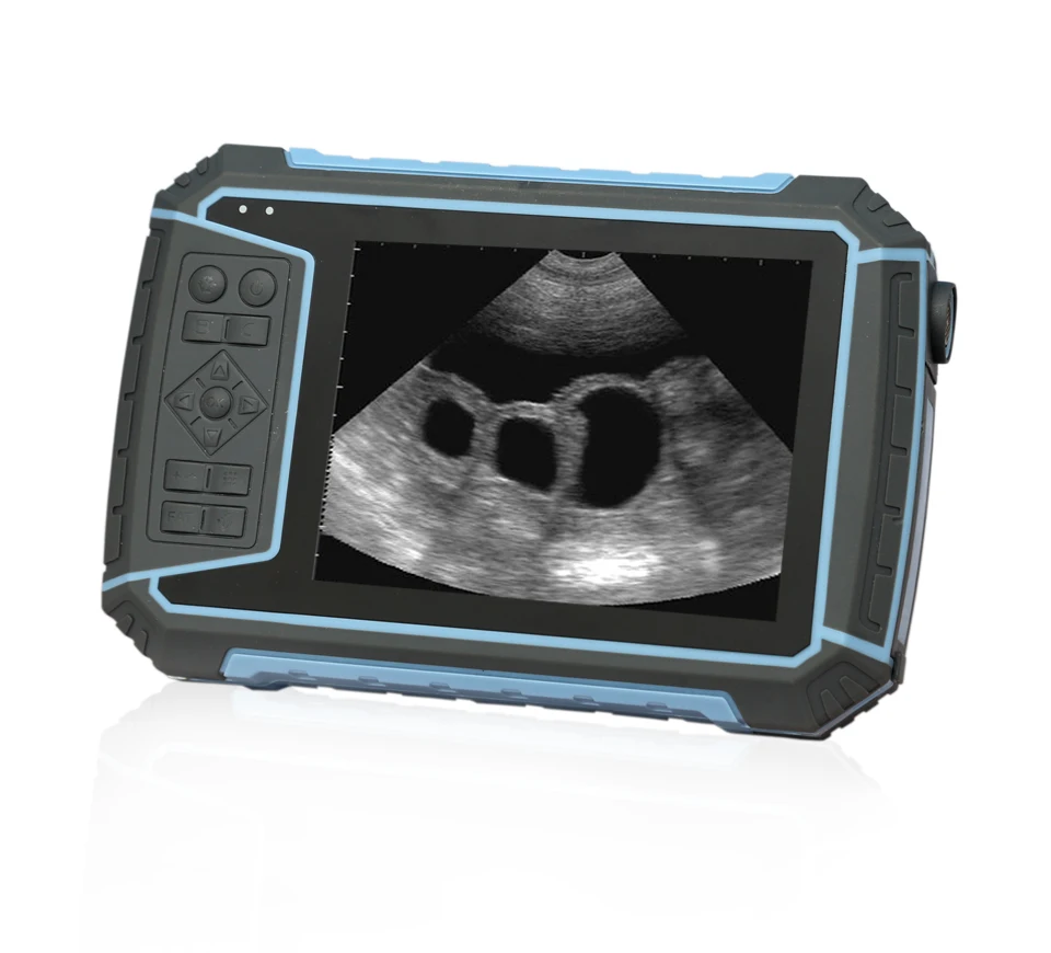 Hot Sale Cheapest Veterinary Medical handheld  Pet Ultrasound Scanner