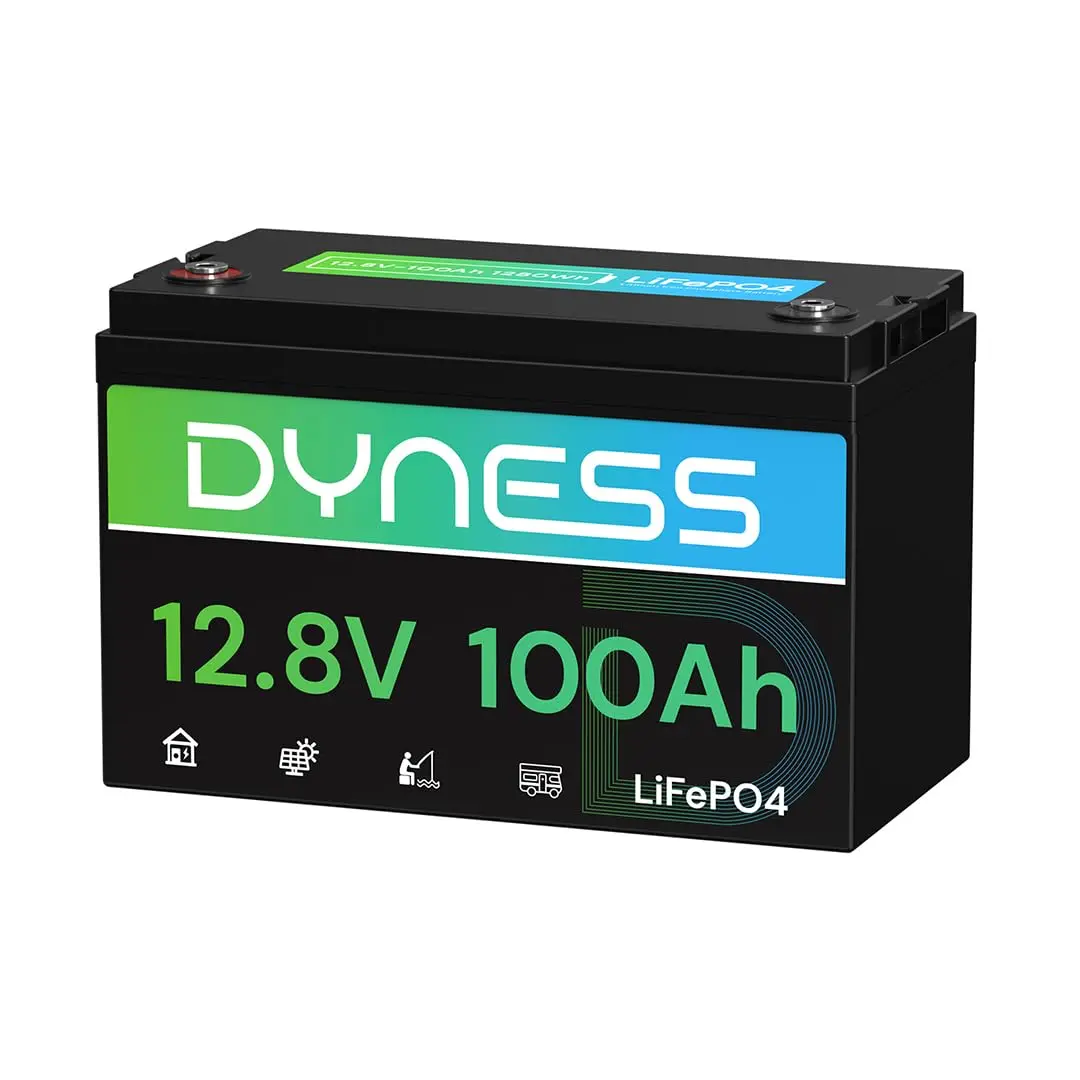 12V 100Ah LiFePO4 Lithium Battery for RV Solar Off-Grid Power Storage, Customized