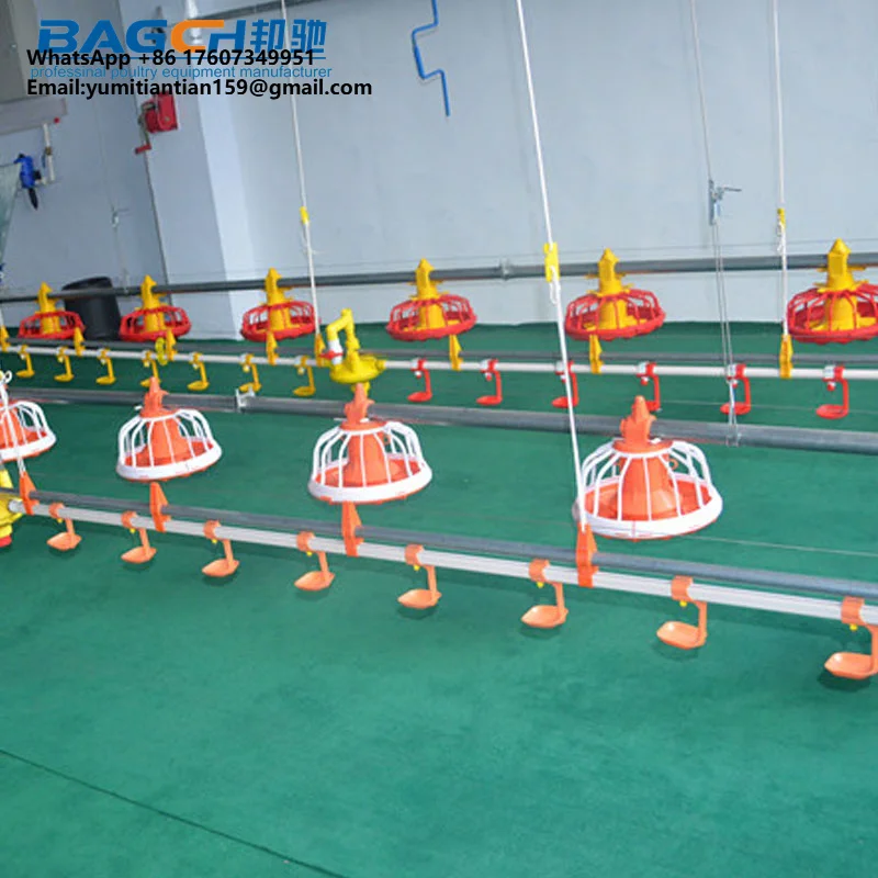 

Poultry Control Shed Farm Equipments for Broiler Chicken