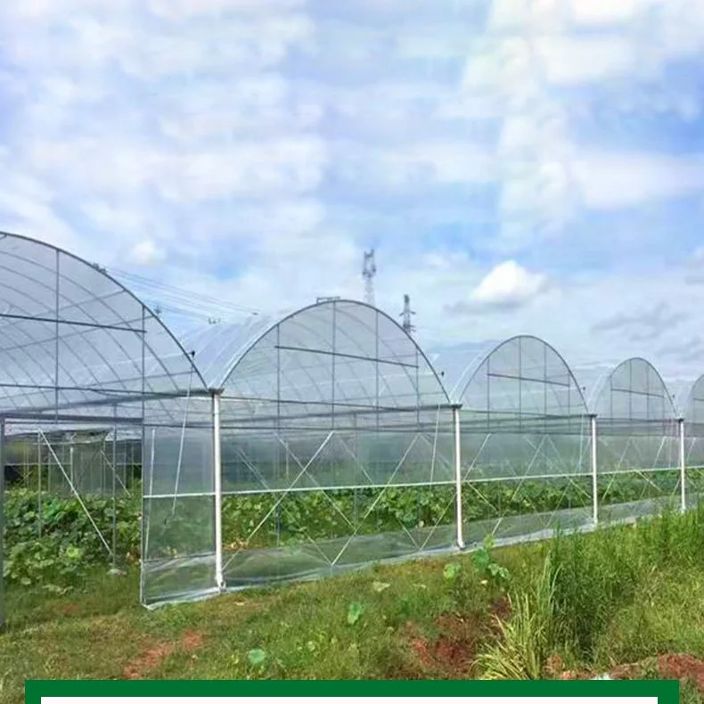 Szeroka oferta paneli PC do szklarni o niskim kosztie, szklarnie do uprawy ziół, szklarnie do pomidorów ze stalową konstrukcją i systemem hydroponicznym na rok 2025.