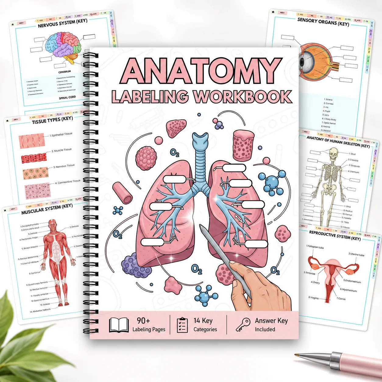 Anatomy Labeling Workbook A5 Spiral-Bound Study Guide, 90+ Labeling Pages, 14 Body Systems, Answer Key Included