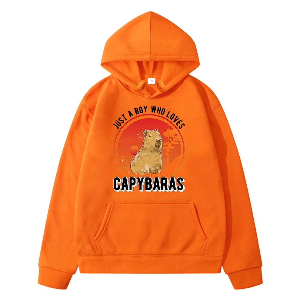 Capybara kids Hoodies Cartoon sweatshirts anime hoodie girls boys clothes y2k sudadera Autumn Fleece pullover Children clothing