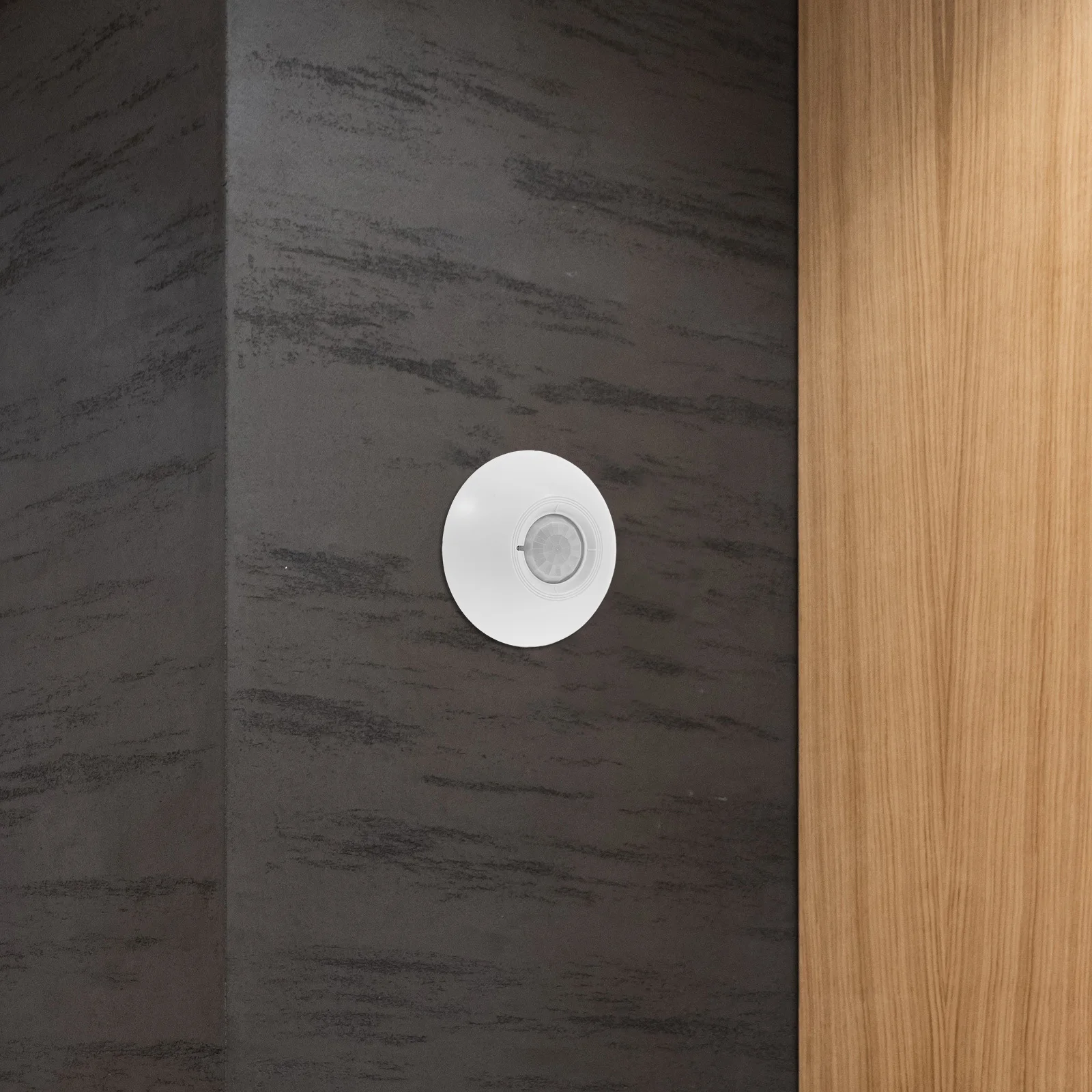 

Infrared Motion Sensor Alarm 12V 360 Degree Detection for Indoor Security Reliable Protection with High Sensitivity Motion