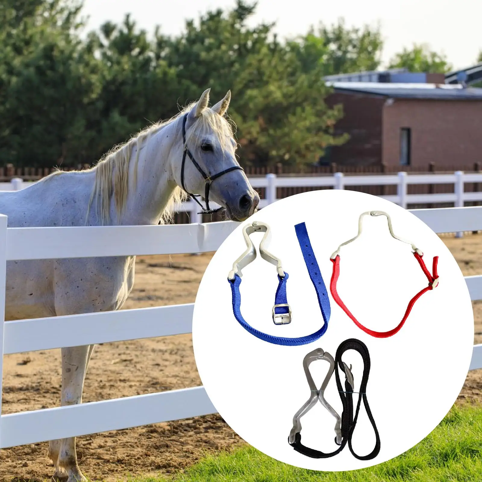 Equine Gag Clip Anti Windsucking Horse Care Equipment Aluminum Safety Brakes for Horse Training and Riding Equipment
