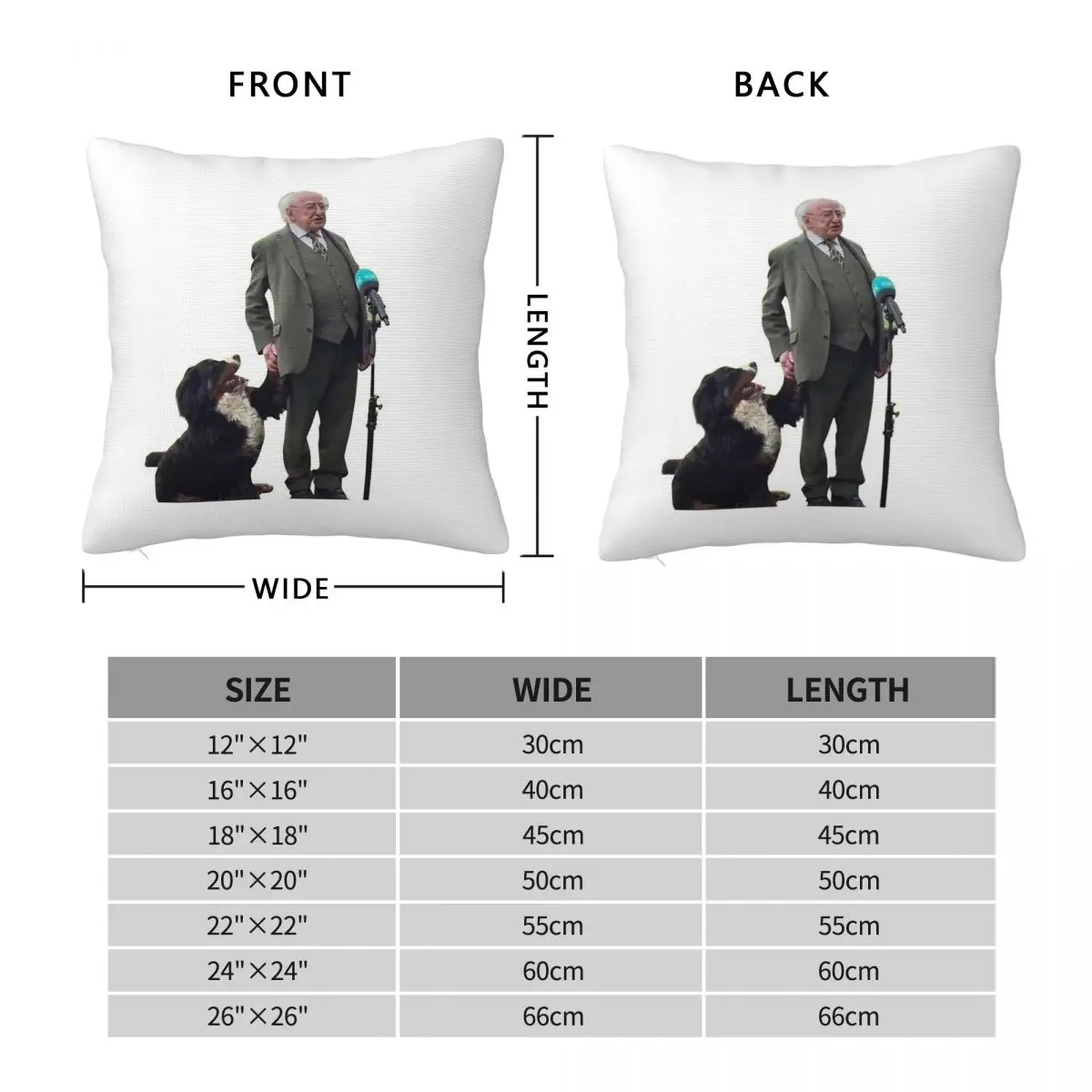 Michael D. Higgins & His Dog Square Pillowcase Polyester Linen Velvet Printed Zip Decor Bed Cushion Case