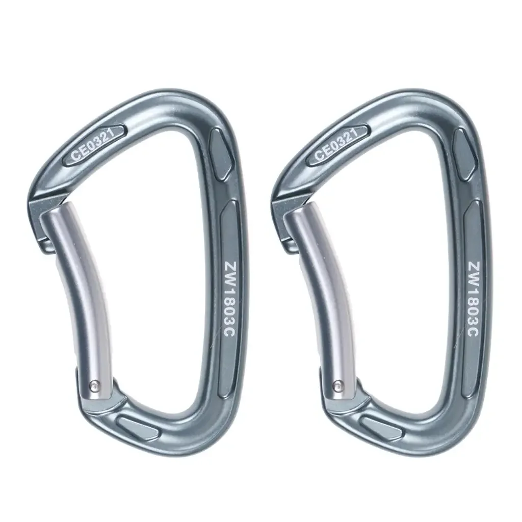 2 moschettoni da arrampicata 24KN/5300lb con chiusura a molla