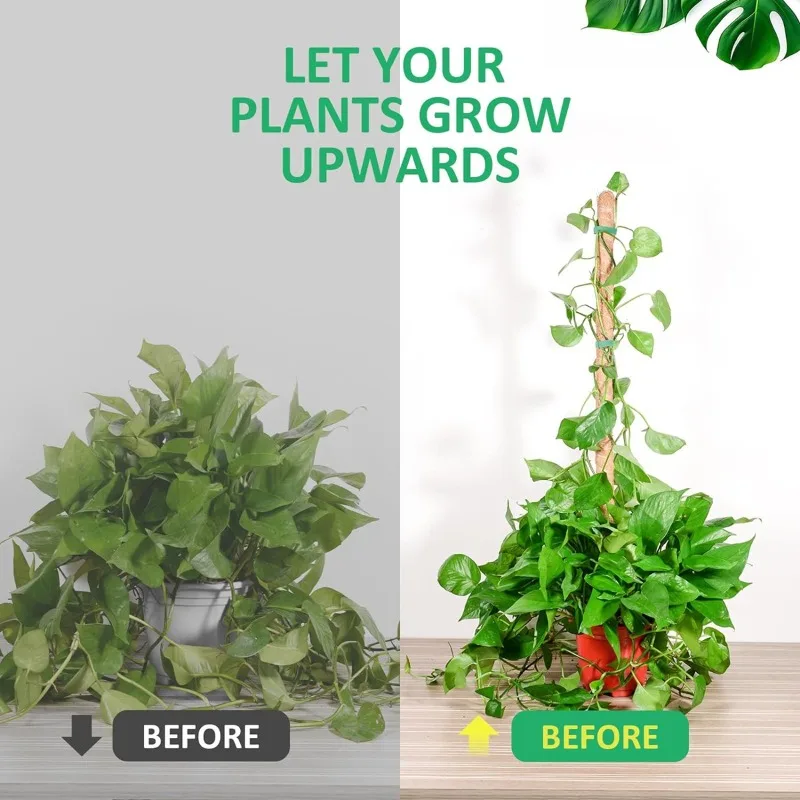 Bendable Plant Support Stick Flexible Climbing Vine Pole Adjustable Shaping Rack For Monstera Potted Greenery Household Plant