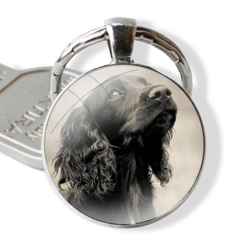 25mm Glass Cabohcon Keychain Key Rings for Women Men Jewelry Gift Cocker Spaniels dog puppies Poster