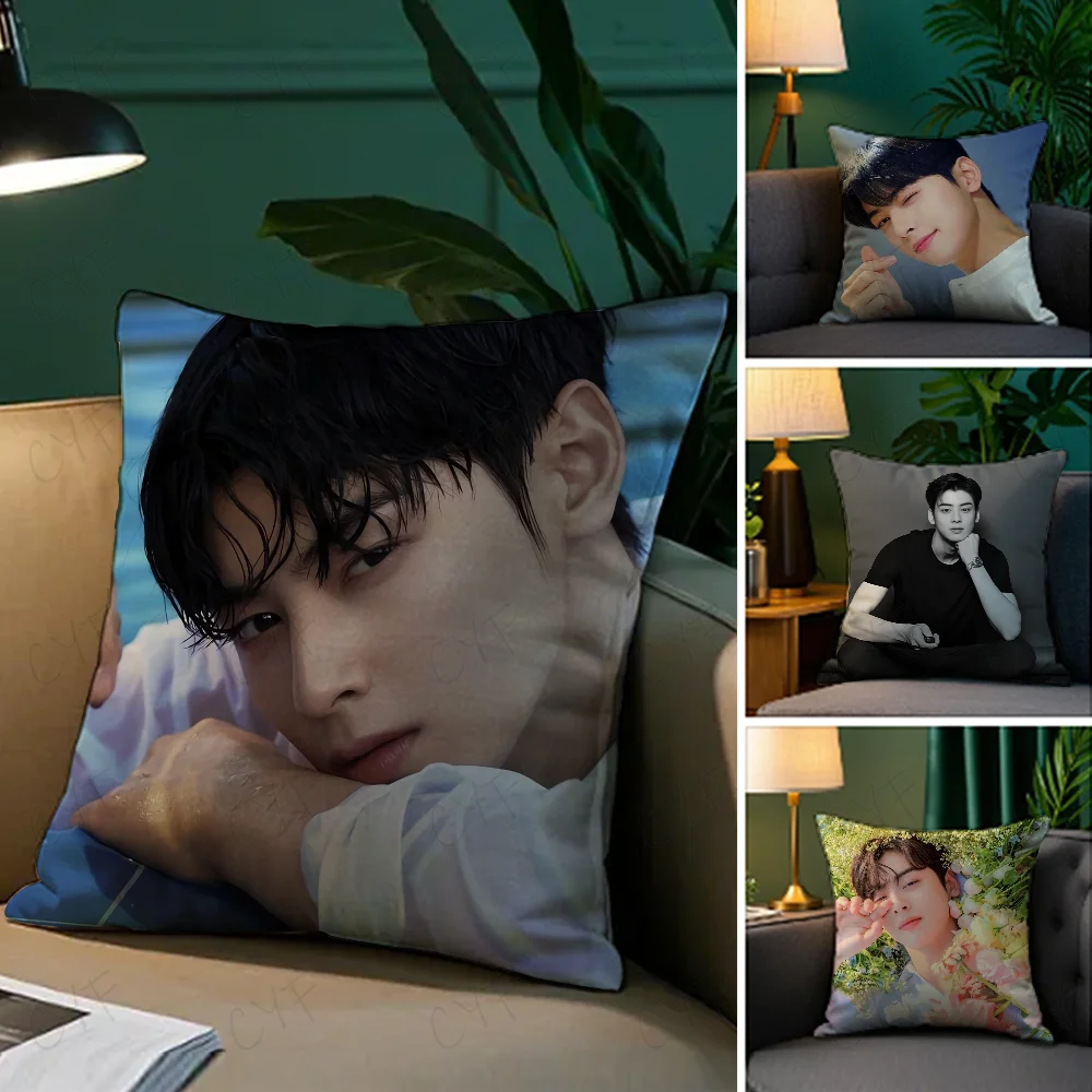 

Kpop Singer Cha E-Eun W-Woo Pillow Case Anti-dustmite Pillowcase Invisible zipper silky short plush Sofa cushion cover
