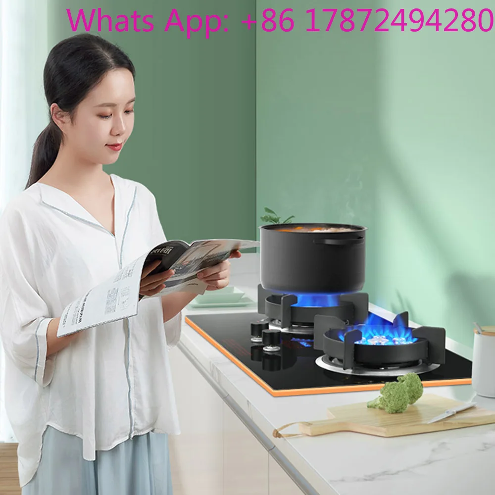 Built-in Double  Stove Kitchen  Burner Cooker Cooktop Timing Stove  Stove Kitchen Stoves Burner estufa de