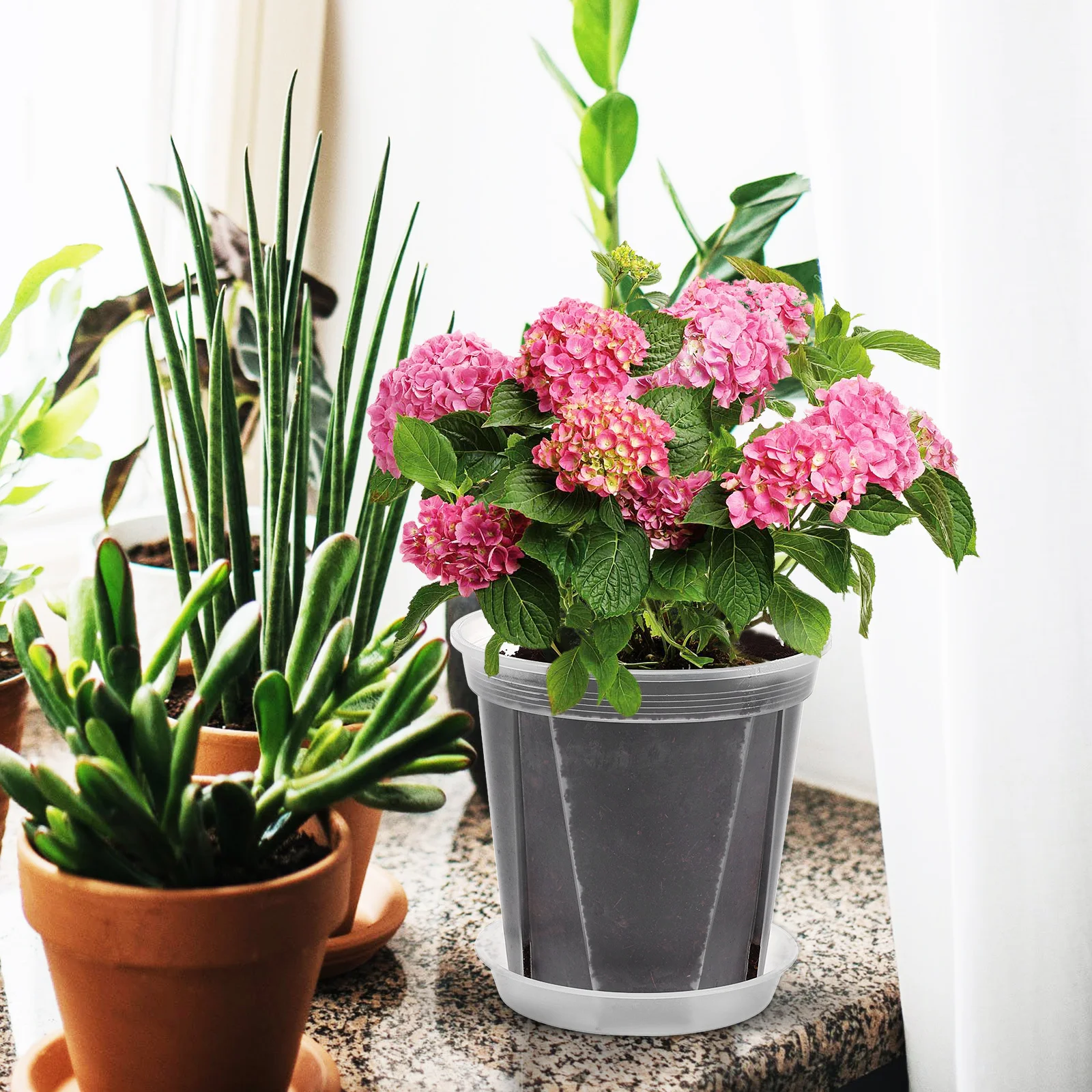 

4Pcs Plastic Root Control Pots for Indoor Plants Clear Flower Planters Breathable Drainage Saucer Succulent Planters